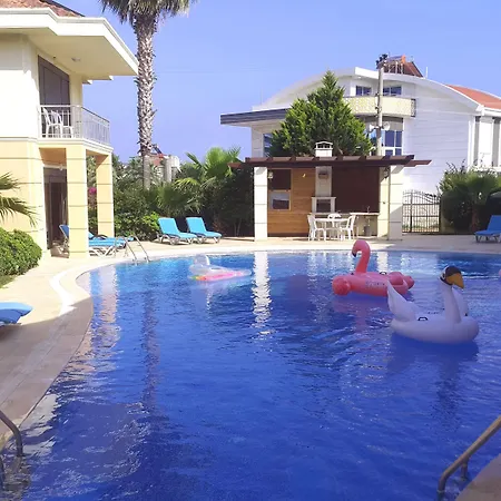 The Wind Sycamore In 2*