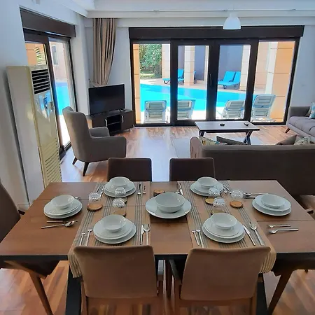 The Wind Sycamore In 2*