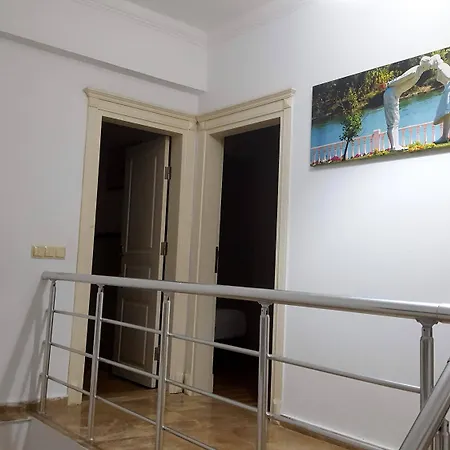 The Wind Sycamore In بيليك