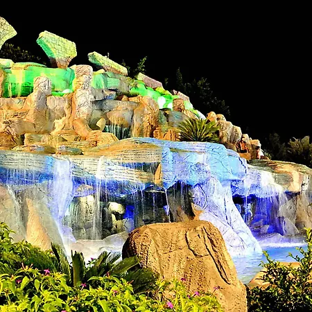 The Wind Sycamore In