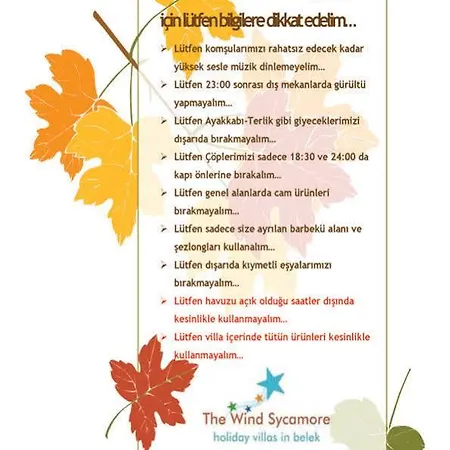 The Wind Sycamore In بيليك