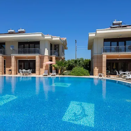 The Wind Sycamore In 2*