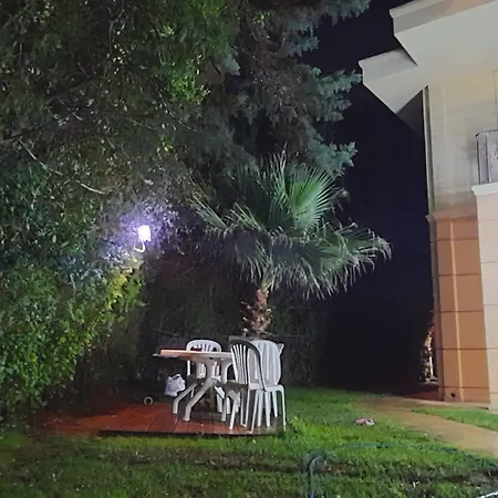 The Wind Sycamore In Otel 2*