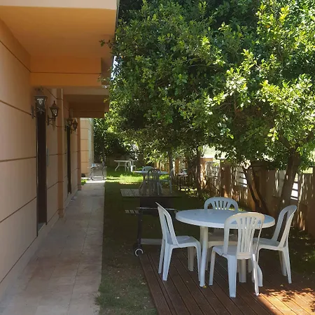 The Wind Sycamore In Otel