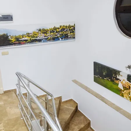 Отель The Wind Sycamore In 2*