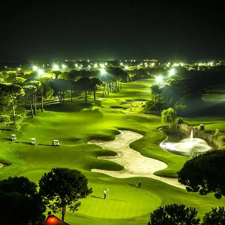 The Wind Sycamore In