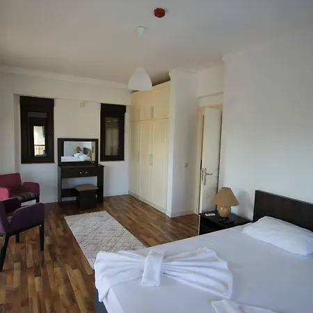 The Wind Sycamore In