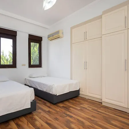 The Wind Sycamore In 2*