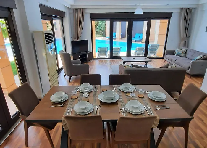 The Wind Sycamore In 2*