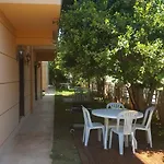 The Wind Sycamore In Hotel
