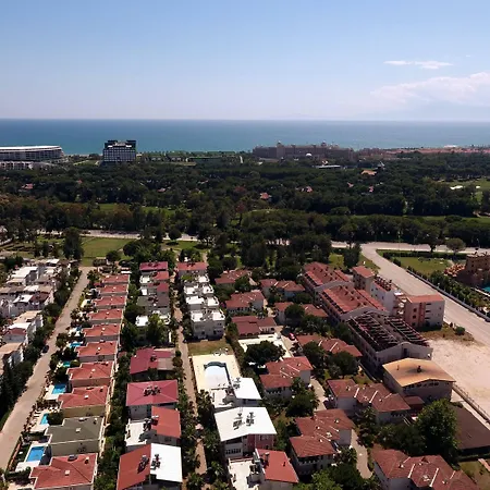 The Wind Sycamore In Hotel