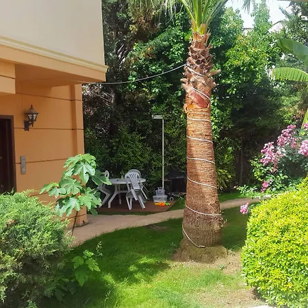 The Wind Sycamore In Hotel Belek