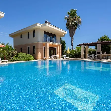 The Wind Sycamore In Hotel 2*