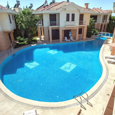 The Wind Sycamore In Hotel