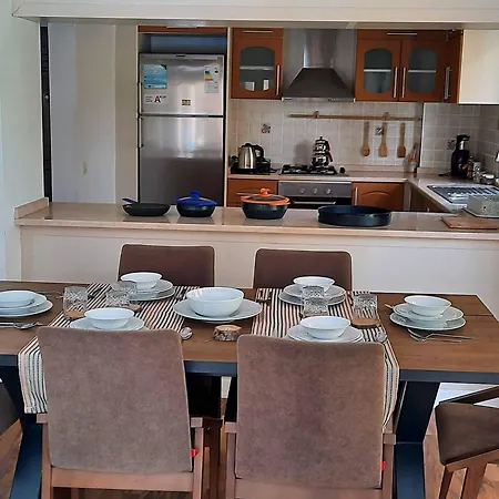 The Wind Sycamore In Hotel