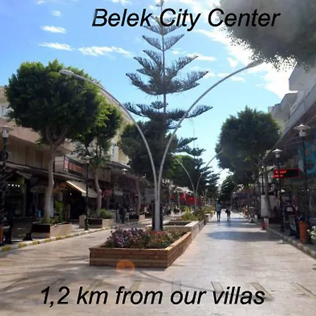 Hotel The Wind Sycamore In