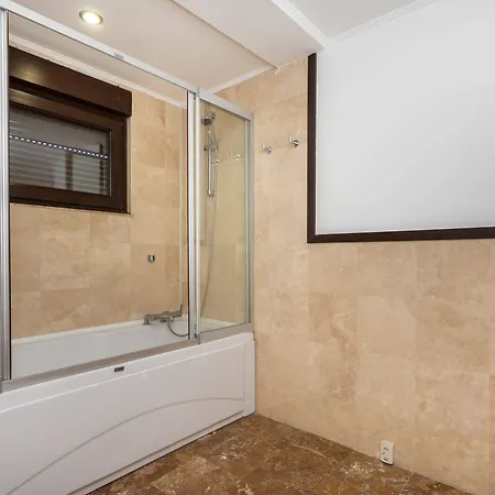 The Wind Sycamore In 2*