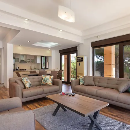 The Wind Sycamore In Hotel