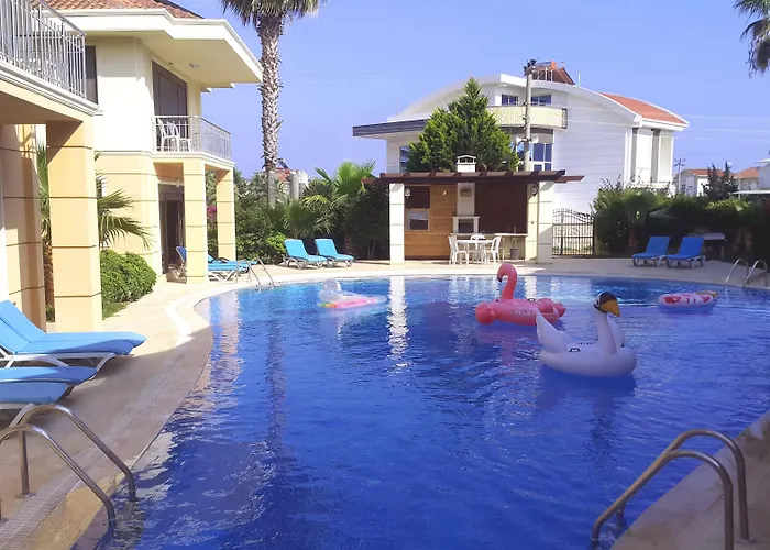 The Wind Sycamore In 2*