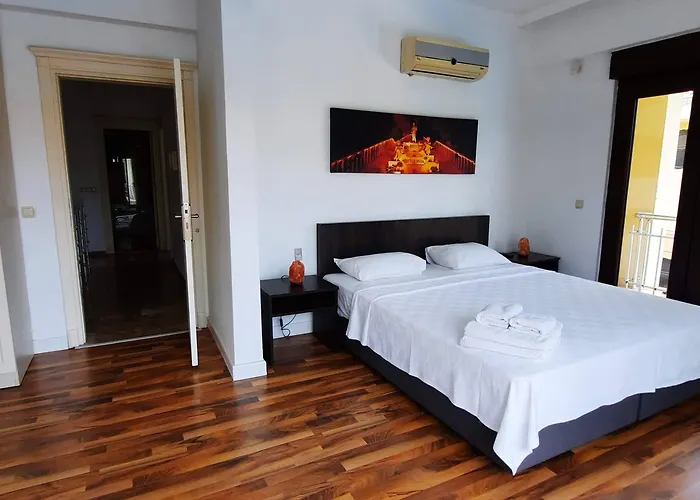 The Wind Sycamore In