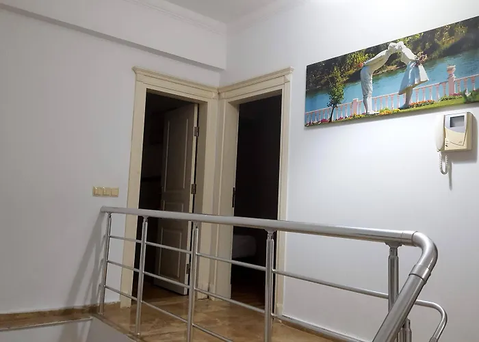 The Wind Sycamore In באלאק