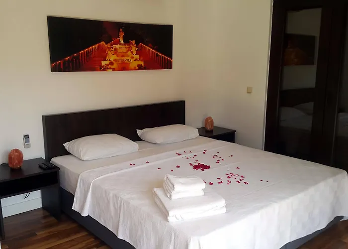 The Wind Sycamore In