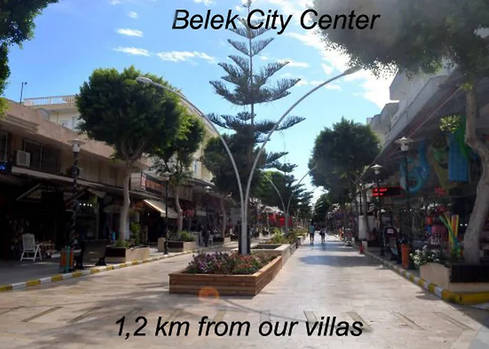 מלון The Wind Sycamore In