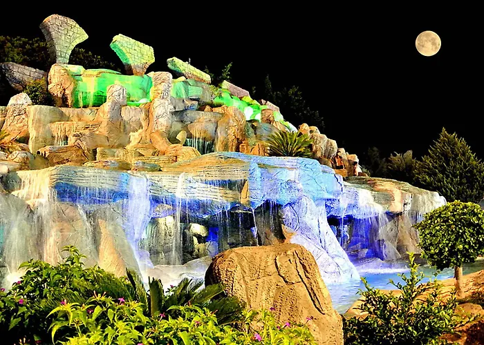 The Wind Sycamore In