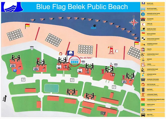 מלון The Wind Sycamore In