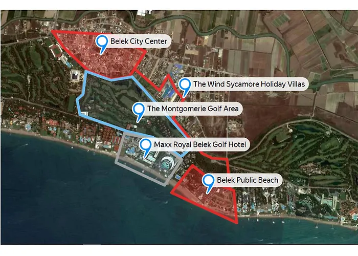 The Wind Sycamore In באלאק