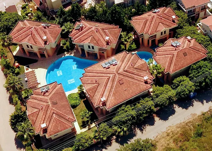 The Wind Sycamore In באלאק