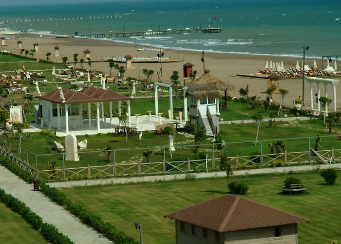 The Wind Sycamore In 2*