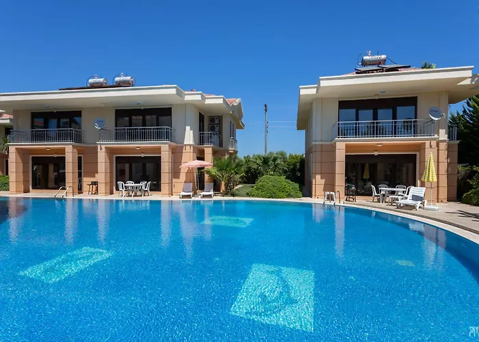 The Wind Sycamore In 2*