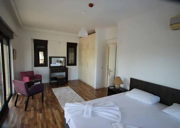 The Wind Sycamore In