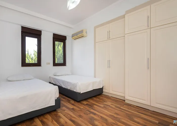 The Wind Sycamore In 2*